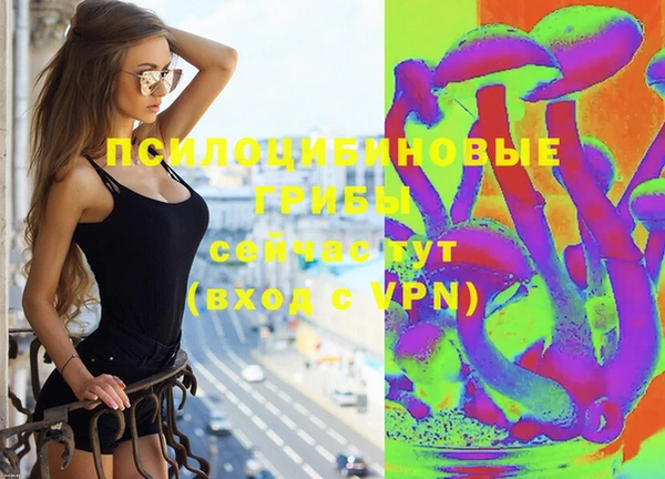 шишки Бронницы