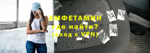 шишки Бородино