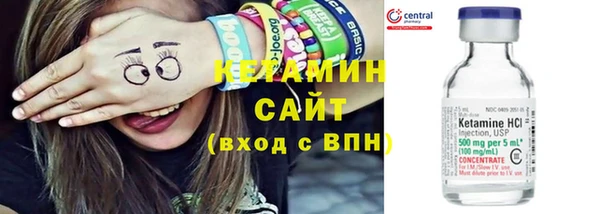 шишки Бородино