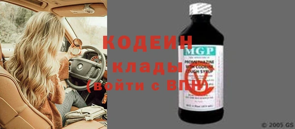 шишки Бородино