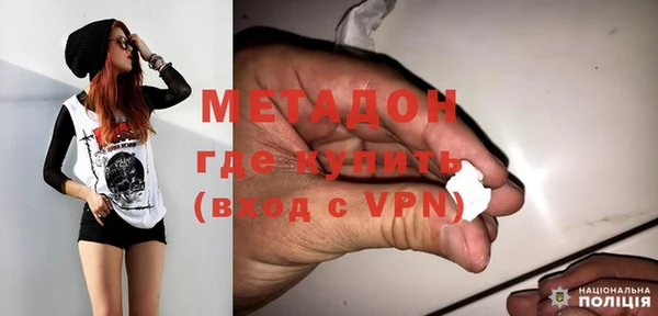 шишки Бородино