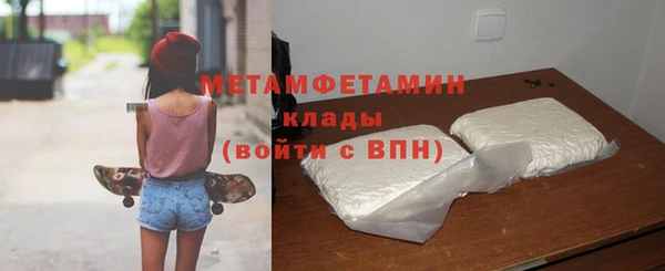шишки Бородино