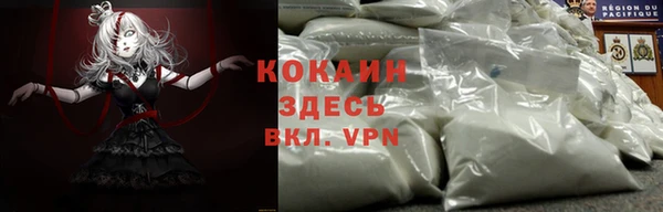шишки Бородино