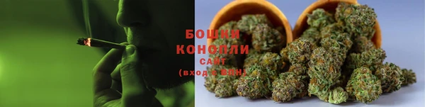 шишки Бородино