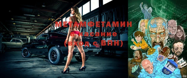 шишки Бородино