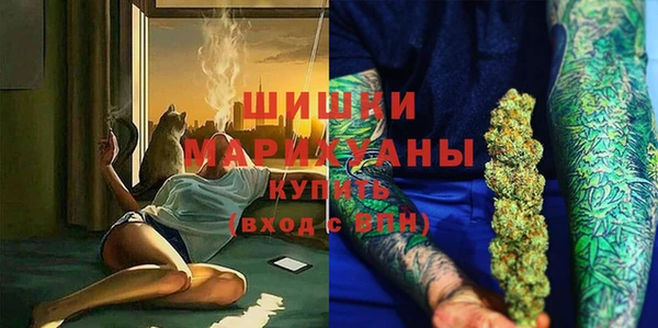 шишки Бронницы