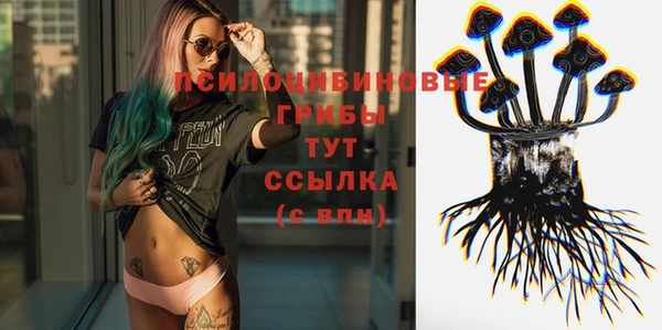 шишки Бородино