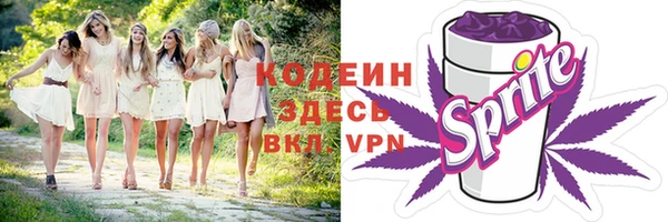 шишки Бронницы