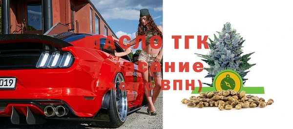 шишки Бородино