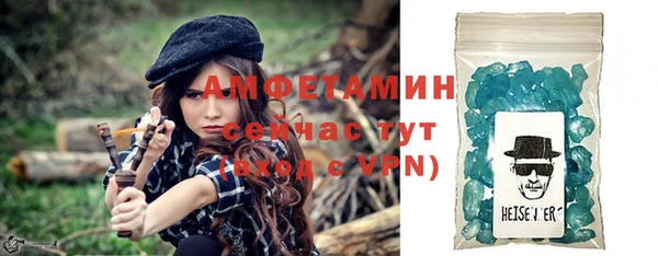 шишки Бородино