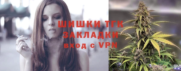 шишки Бронницы